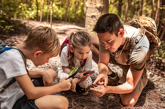 Sibling Relationships Article