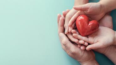 A Guide for Catholic Schools